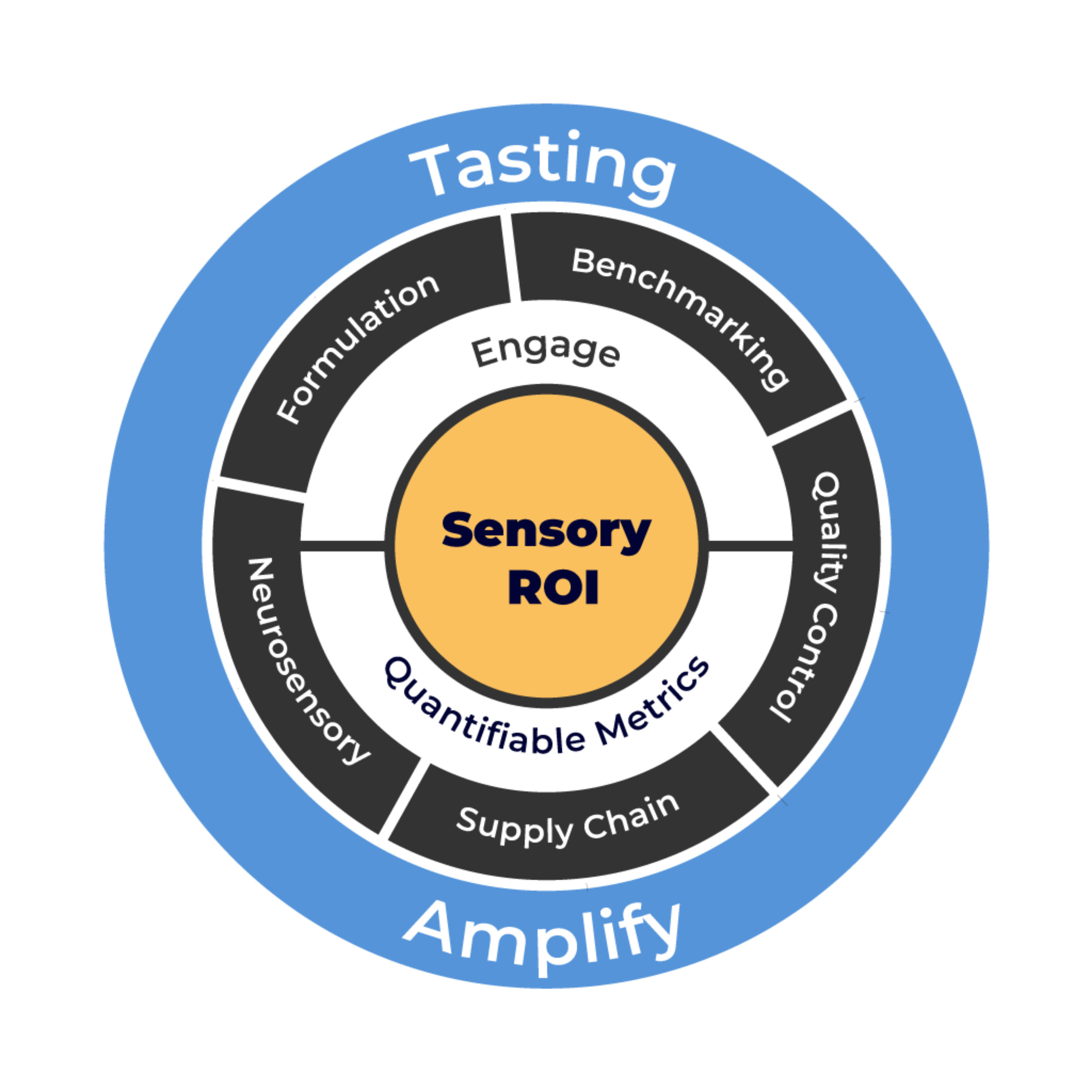 Sensory-ROI-Sensesbit