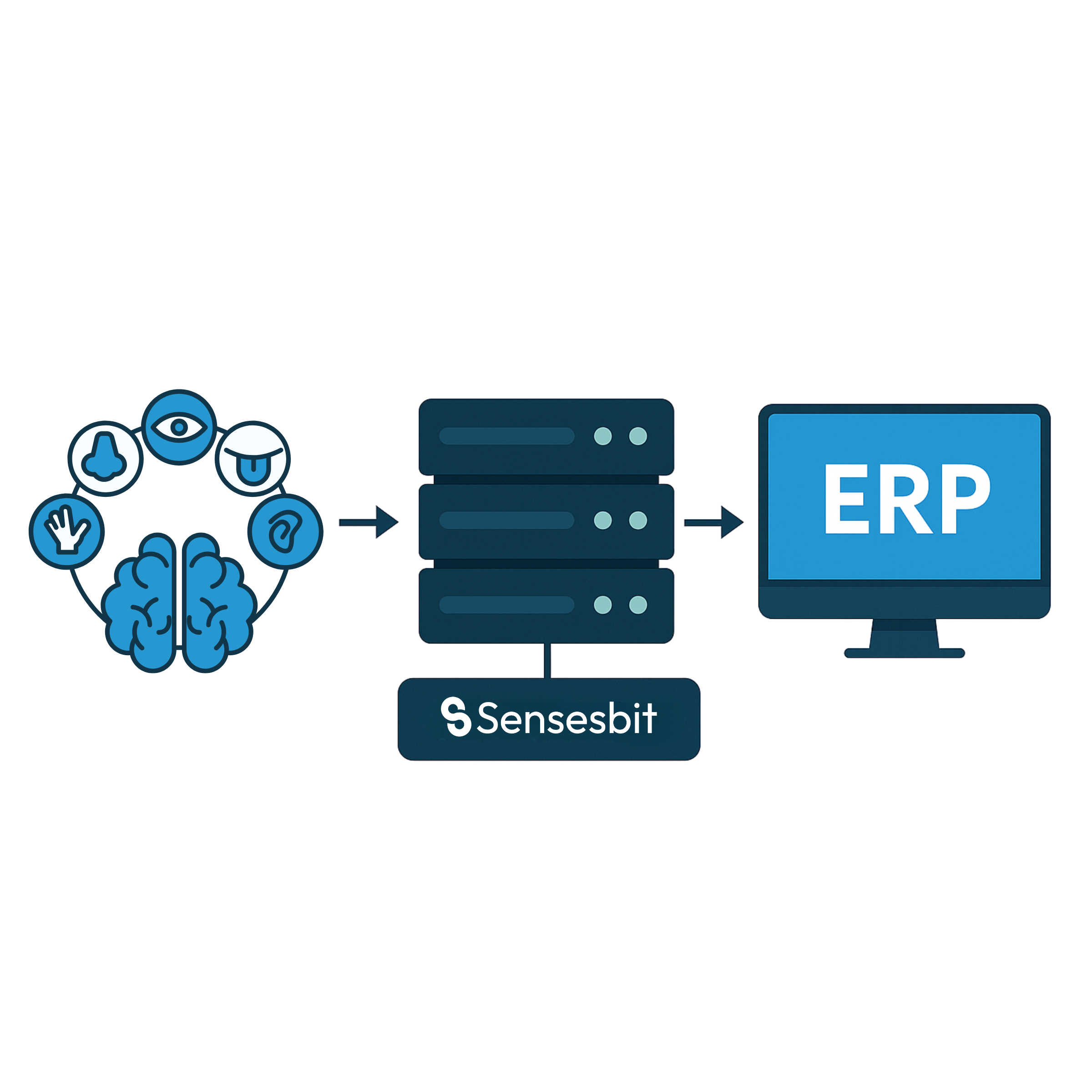 erp-sensesbit